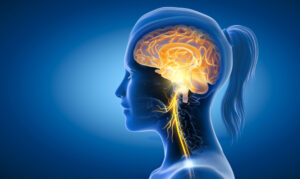 Cranial nerve sequencing